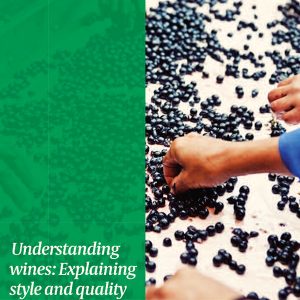 Understanding Wines