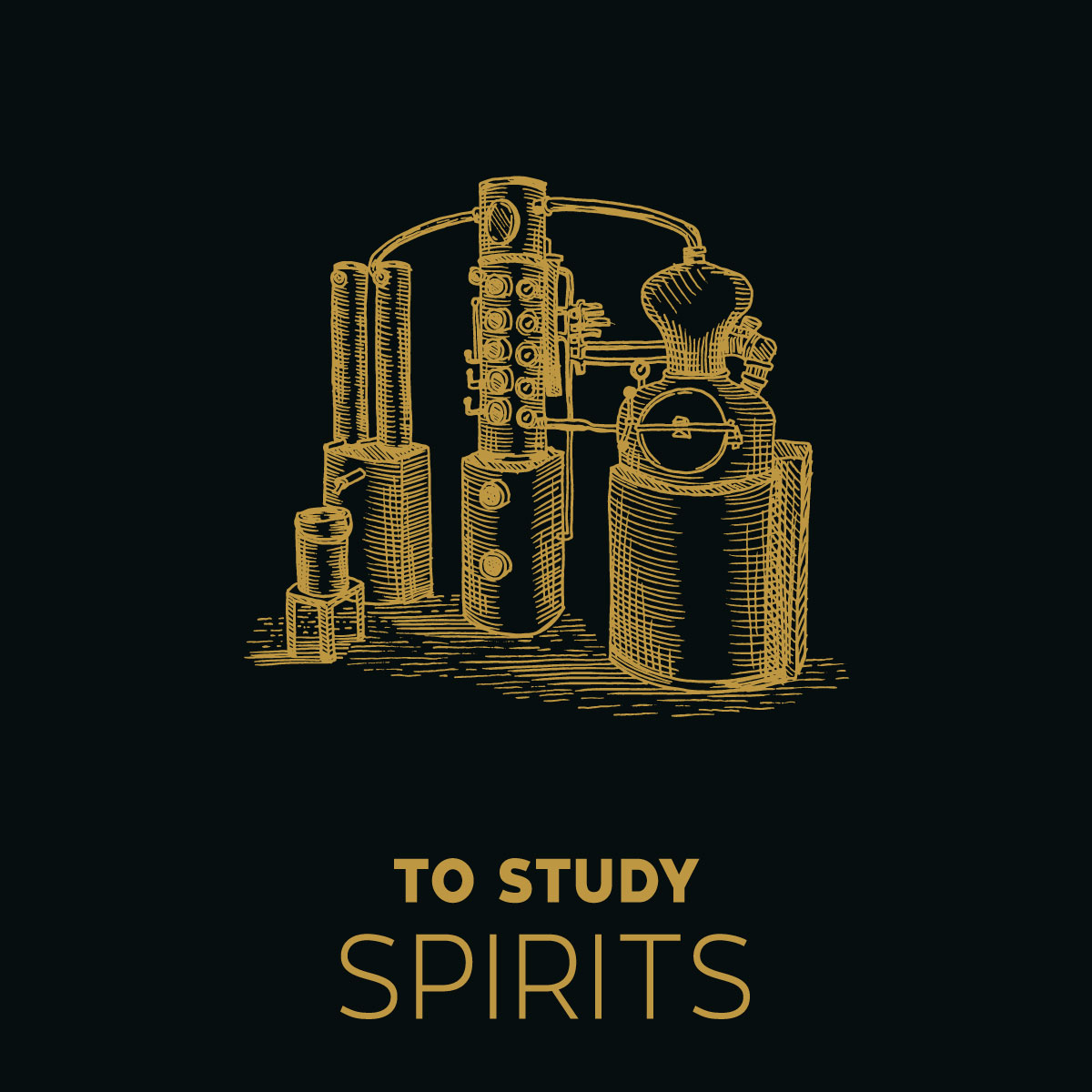 WSPC TO STUDY SPIRITS