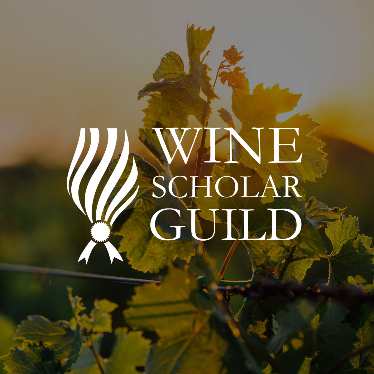 WSPC and Wine Scholar Guild