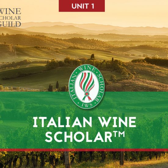 ITALIAN WINE SCHOLAR