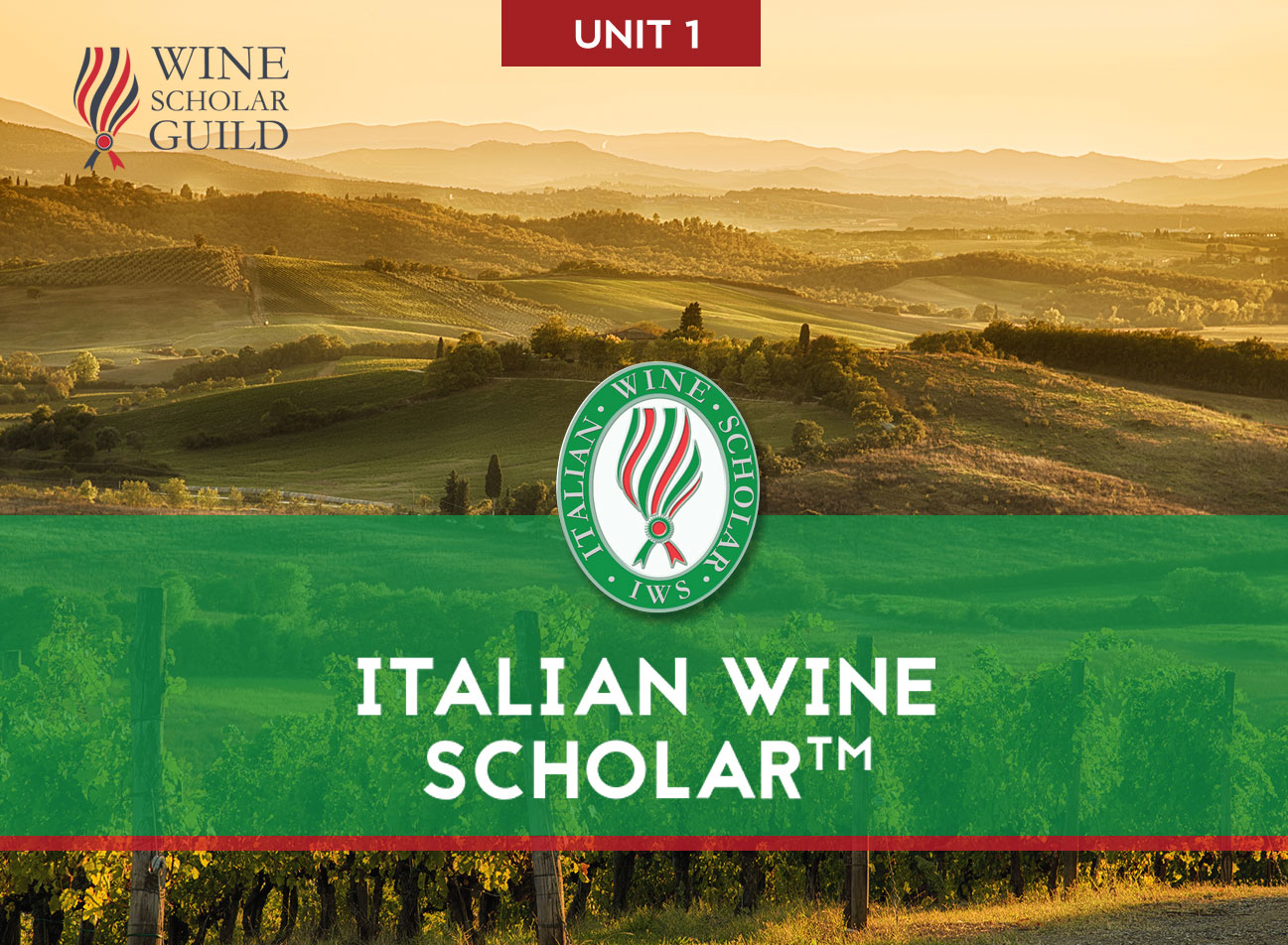 ITALIAN WINE SCHOLAR