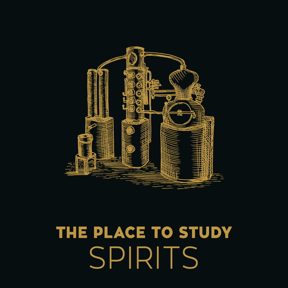 WSPC-STUDY-SPIRITS