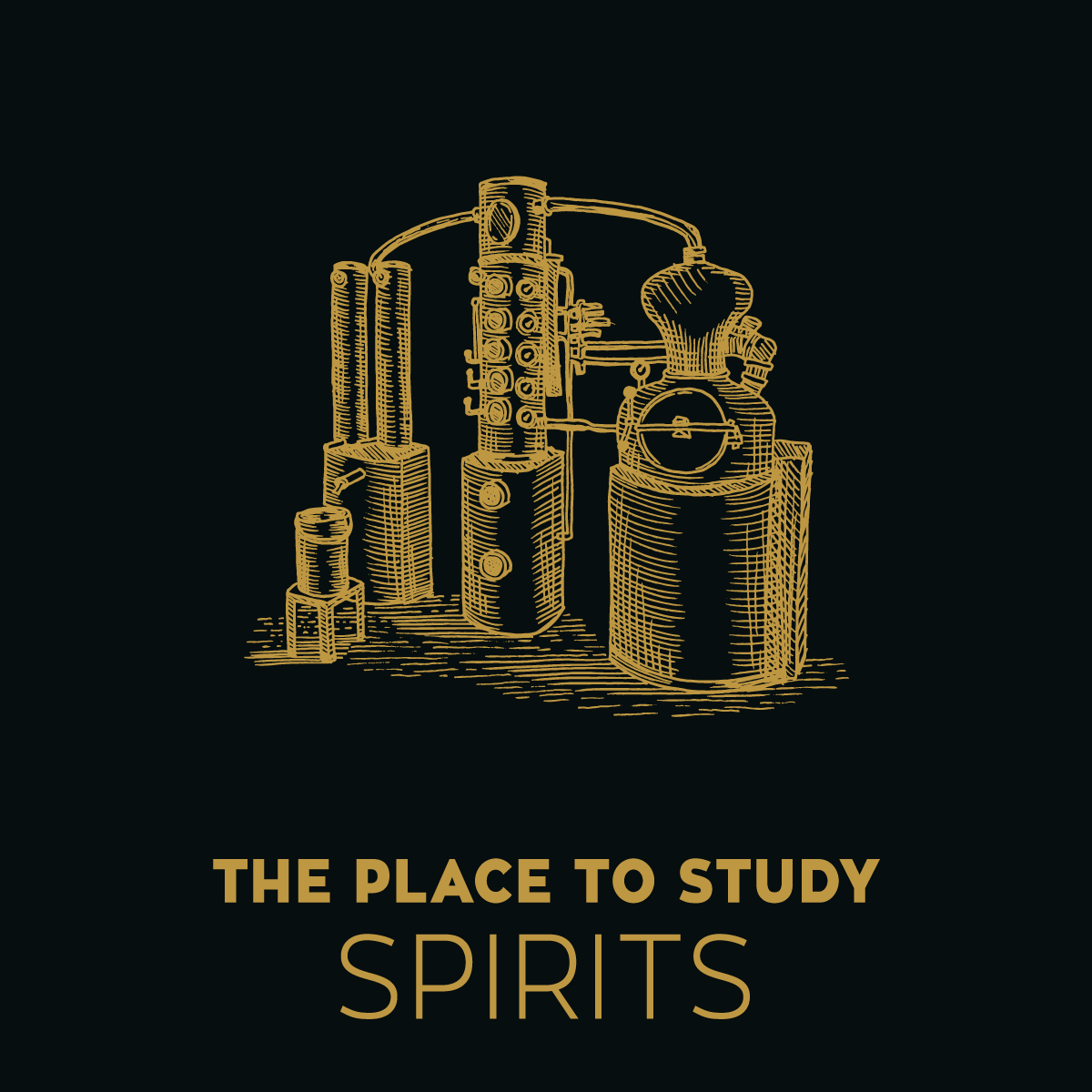 WSPC TO STUDY SPIRITS