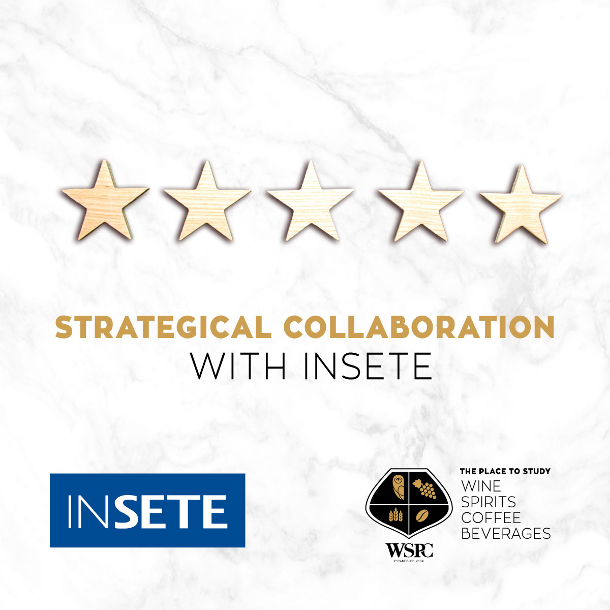 Strategical Collaboration with INSETE