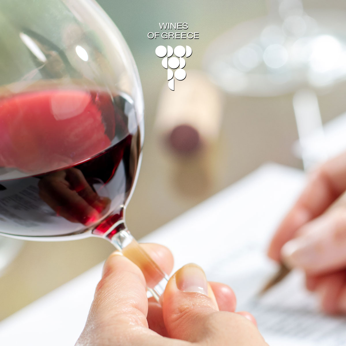 wspc-foundation-certificate WSPC Greek Wine Academy Foundation Certificate